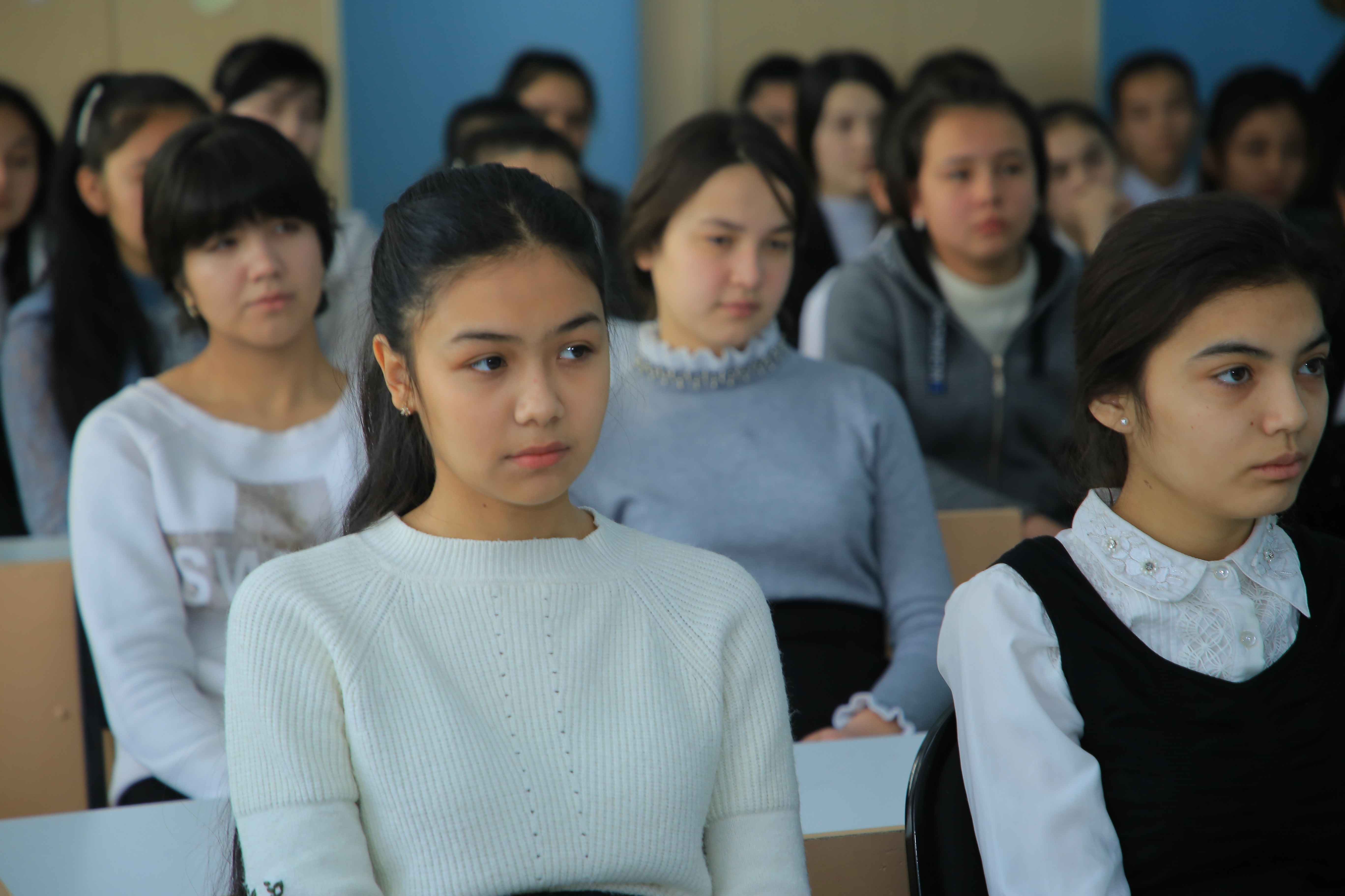 Voyaga etgan qoramagizlar oz mushuklarida boshashadi.